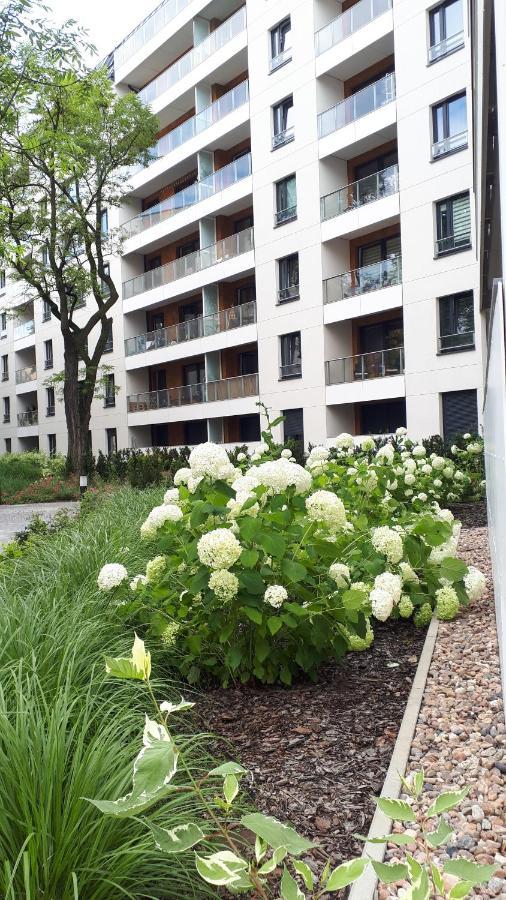 Vena Apartment Wroclaw