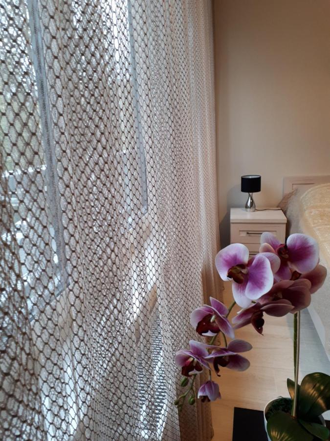 Apartment Vena Wroclaw